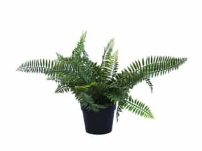 potted recycled plastic artificial fern