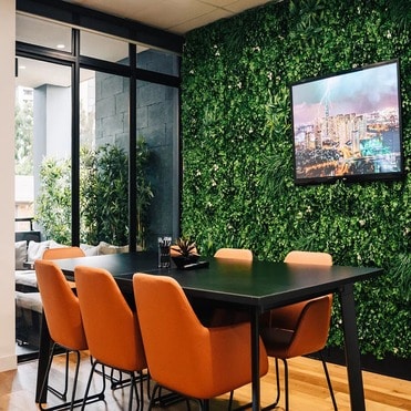 Commercial living wall / green wall