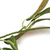 Artificial Croton Vine Haning Garland 180cm Orange and Green Hanging Fake Plant Vine