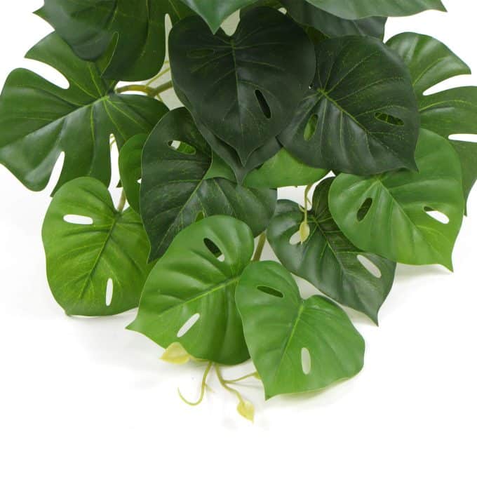 Artificial Monstera Adansonii Plant 50cm Split Philodendron Plant Artificial Leaves