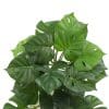Artificial Monstera Adansonii Plant 50cm Split Philodendron Plant Faux