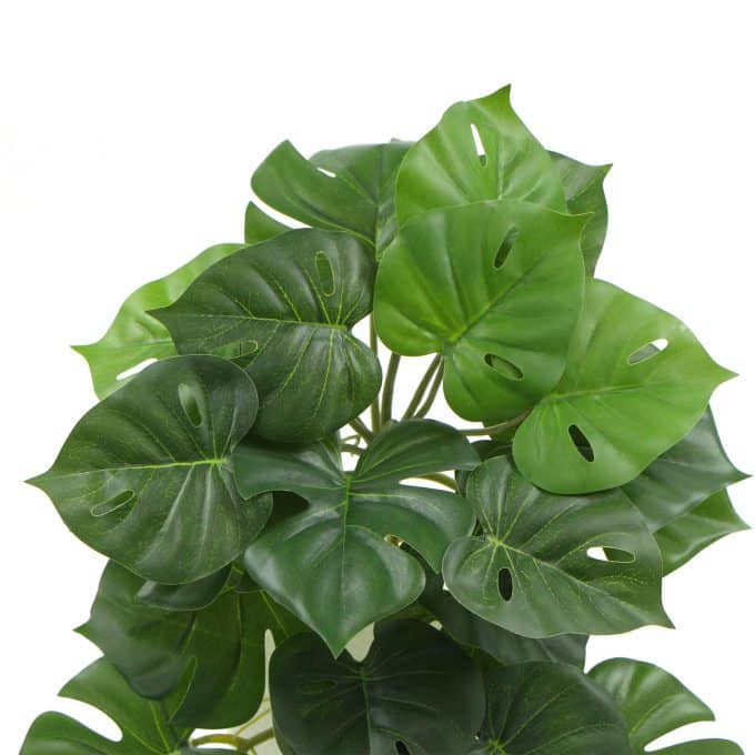 Artificial Monstera Adansonii Plant 50cm Split Philodendron Plant Faux