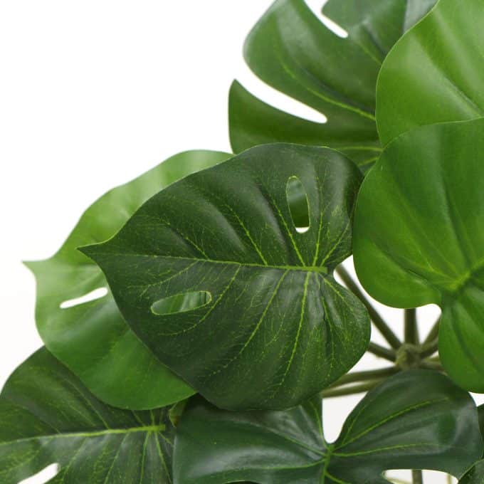 Artificial Monstera Adansonii Plant 50cm Split Philodendron Plant Faux Leaves Close Up