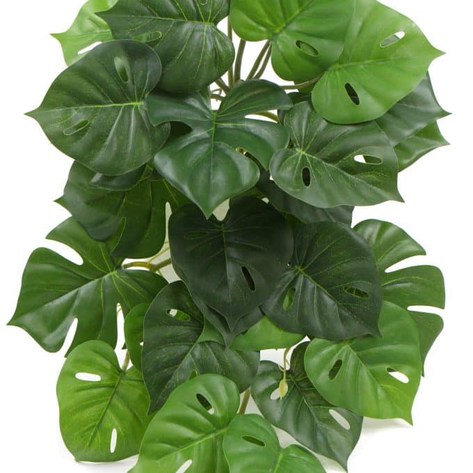 Artificial Monstera Adansonii Plant 50cm Split Philodendron Plant Faux Small