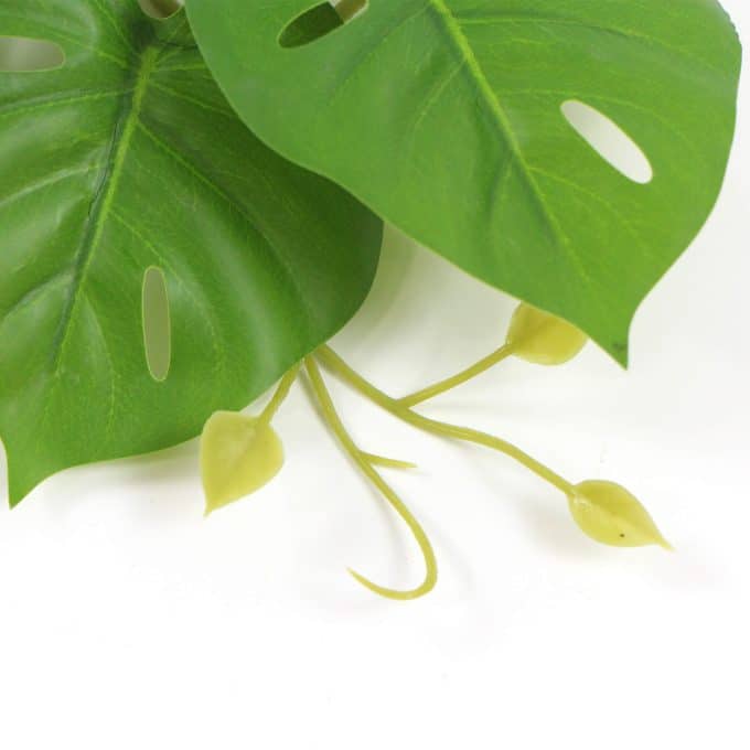 Artificial Monstera Adansonii Plant 50cm Split Philodendron Plant Faux Trailing Greenery