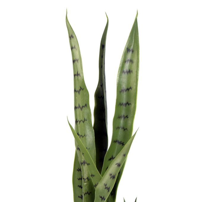Artificial Snake Plant Sansevieria UV Resistant 85cm Dark Green Snake Plant