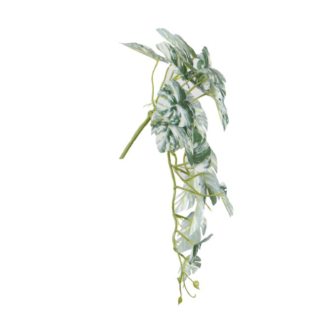 Artificial White & Green Monstera Albo Variegata 45cm Mixed White and Green Philodendron Plant Side View