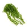 Draping Artificial Hanging Myrtle Vine 75cm Long Hanging Fake Plant Draping Plant