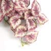 Hanging Artificial Red Variegated Tropical Ginger Plant Fake Red Plant Leaves Bush