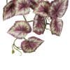 Hanging Artificial Red Vareigated Tropical Ginger Plant Fake Red Plant Leaves Trailing Faux Plant
