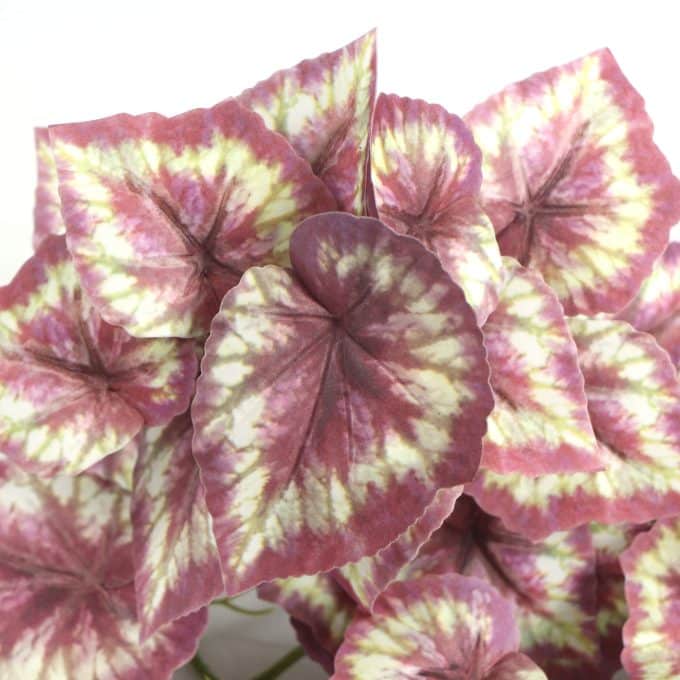 Hanging Artificial Red Variegated Tropical Ginger Plant Fake Red Plant Leaves with White