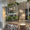 Draping Ivy Bush