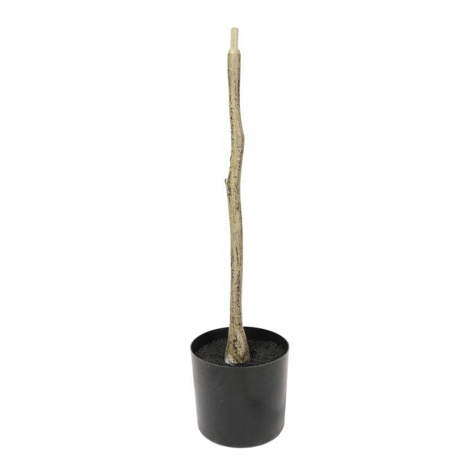 Outdoor UV Artificial Olive Tree Potted Plant 180cm in Pot