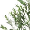 Outdoor UV Artificial Olive Tree Potted Plant Olive Leaves