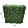 Portable Boxwood Hedge UV Resistant 100cm Long X 100cm High