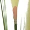 Potted Flowering Artificial Foxtail Plant 110cm Flower Stem