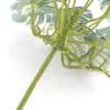 Stem of Artificial White & Green Monstera Albo Variegata 45cm Mixed White and Green Philodendron Plant