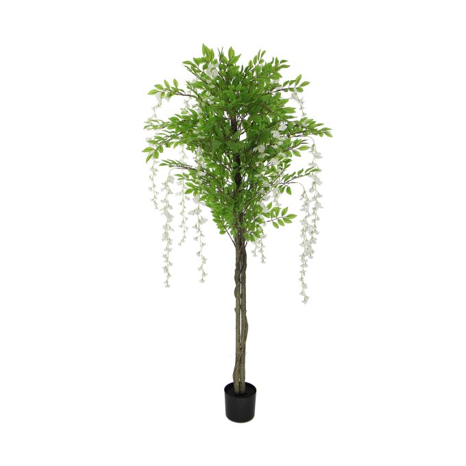 White Flowering Artificial Wisteria 180cm