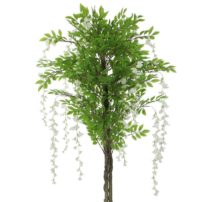 White Flowering Artificial Wisteria 180cm Bushy Ficus with White Flowers