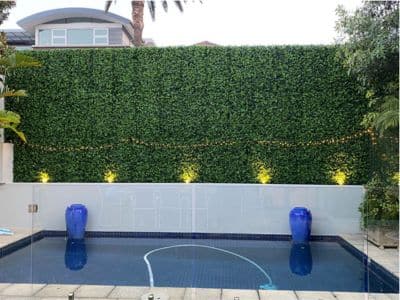 designer plants jasmine hedge screen poolside