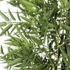 Premium Artificial Bamboo Plant with Black Trunk and Outdoor Leaves Natural Bamboo
