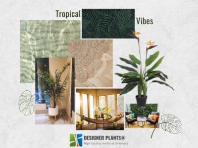 tropical small garden ideas