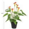 Artificial Flowering White & Orange Peace Lily Calla Lily Plant 50cm