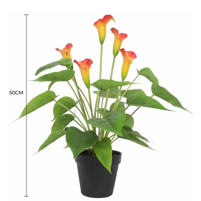 Artificial Flowering White & Orange Peace Lily Calla Lily Plant 50cm
