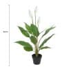 Artificial Flowering White Peace Lily Calla Lily 95cm