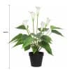 Artificial Flowering White Peace Lily Calla Lily Plant 50cm