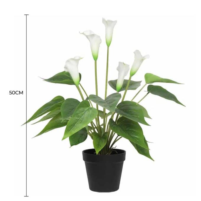 Artificial Flowering White Peace Lily Calla Lily Plant 50cm