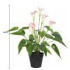 Artificial Flowering White & Pink Peace Lily Calla Lily Plant 50cm