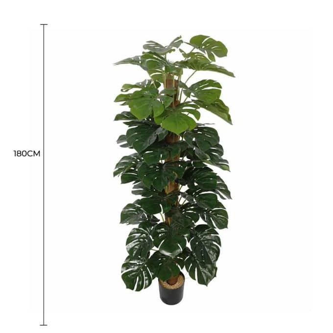 Artificial Monstera Adansonii Money Plant With Decorative Pot 180cm