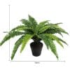 Artificial Potted Natural Green Boston Fern (50cm High 70cm Wide)