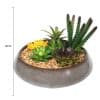 Potted Artificial Succulents With Round Decorative Bowl 19cm