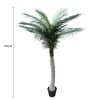 Tropical Phoenix Artificial Potted Palm Tree 190cm UV Resistant