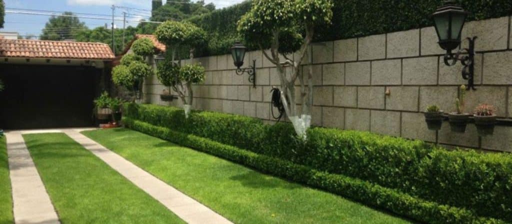 Small Modern Garden Ideas
