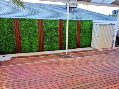 clayton green walls after
