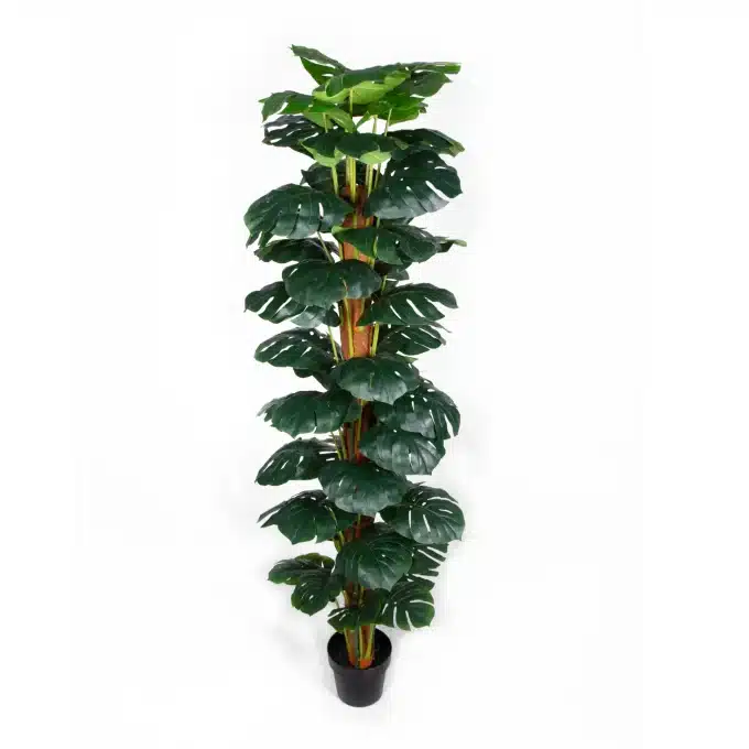 Realistic faux Monstera, a towering green addition to any indoor space.