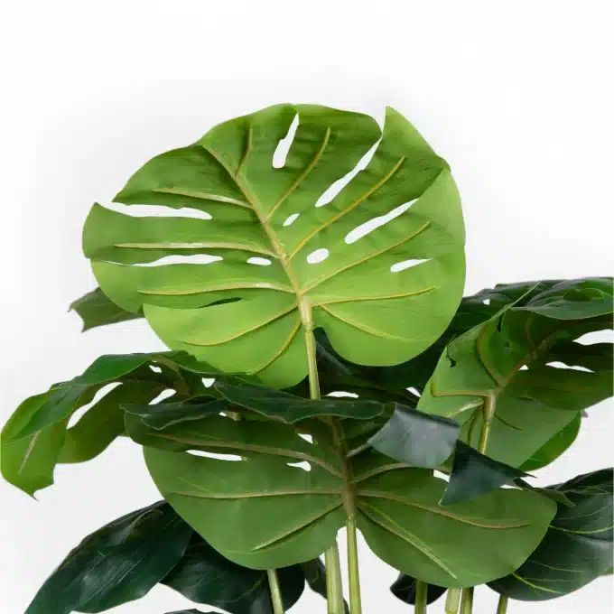 artificial green banana plant