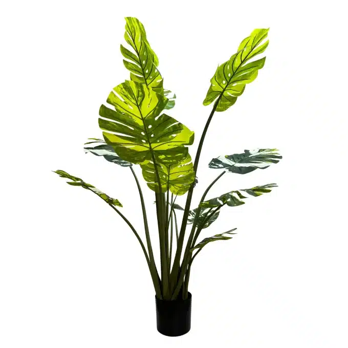 artificial green banana plant