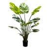 artificial green banana plant