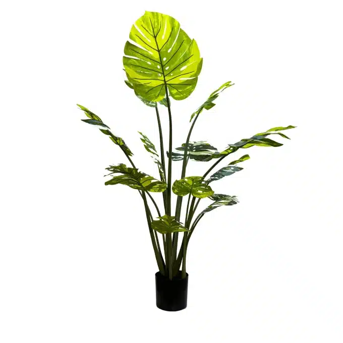 artificial green banana plant