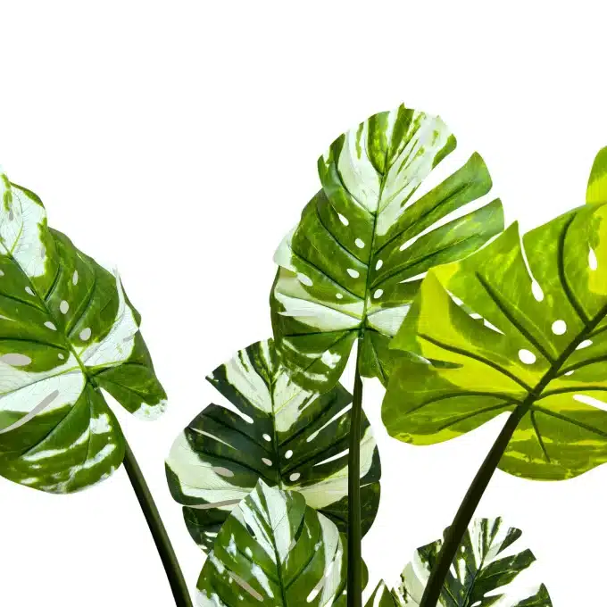 artificial green banana plant