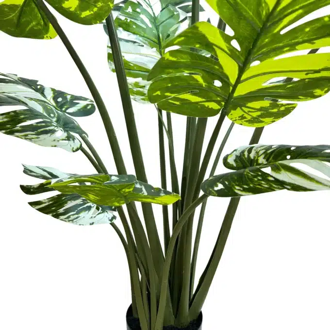 artificial green banana plant
