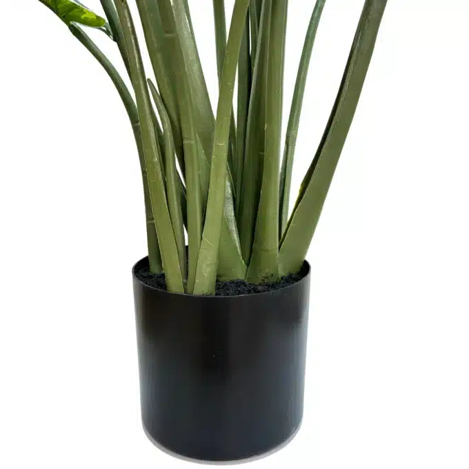 artificial green banana plant