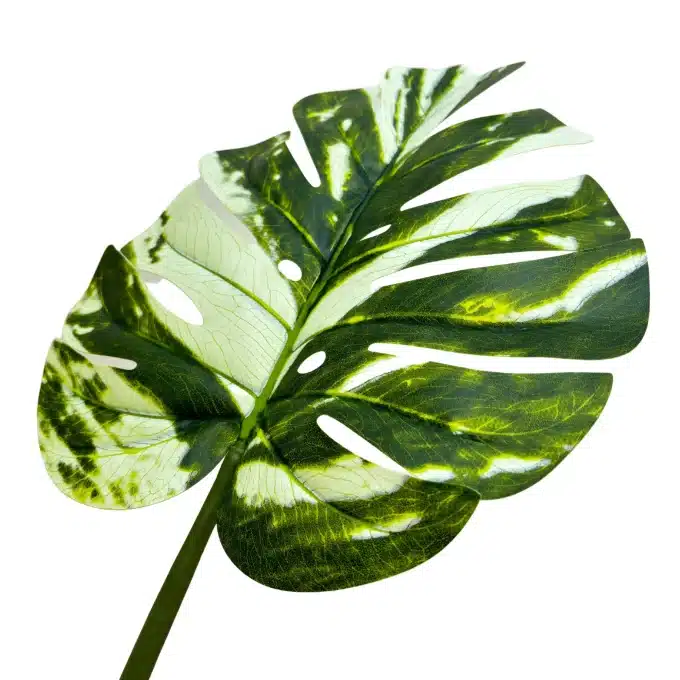 artificial green banana plant