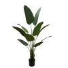artificial green banana plant