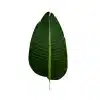 artificial green banana plant