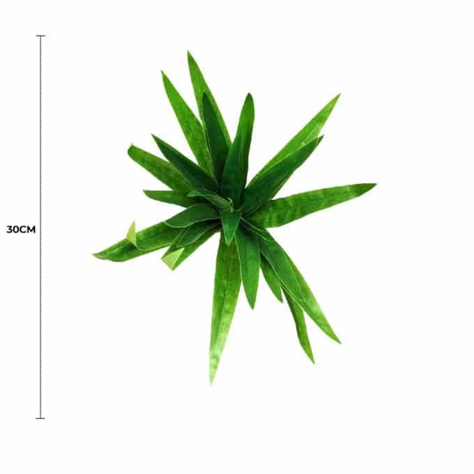 Aloe Vera Stem 30cm